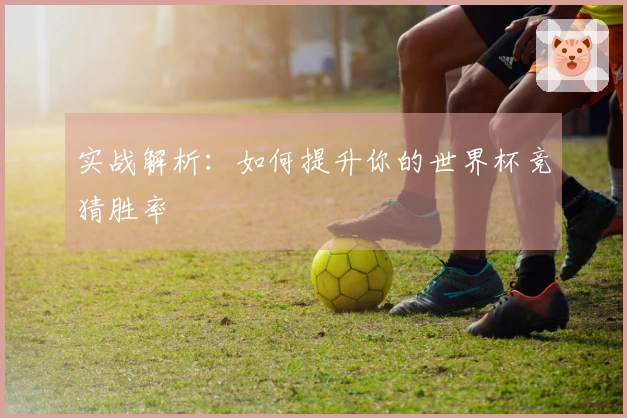 实战解析:如何提升你的世界杯竞猜胜率
