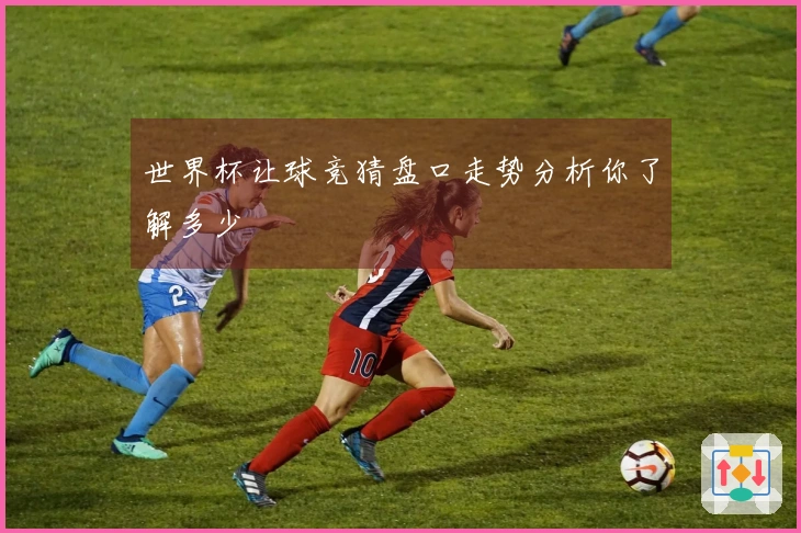 世界杯让球竞猜盘口走势分析你了解多少