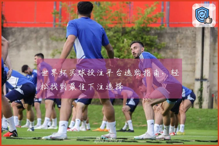 世界杯买球投注平台选购指南，轻松找到最佳下注选择